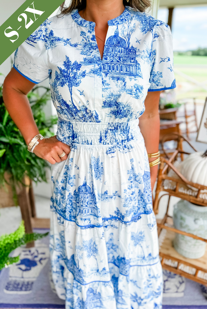 Sophia™ | Classic Toile Maxi Dress